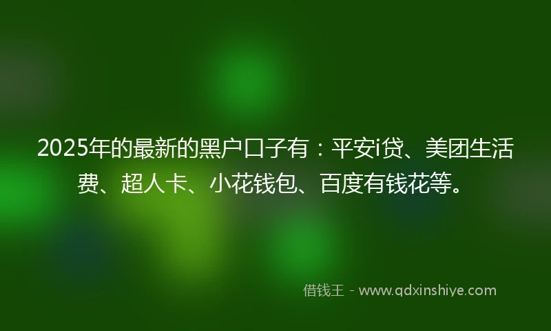 2025年的最新的黑户口子有：平安i贷、美团生活费、超人卡、小花钱包、百度有钱花等。