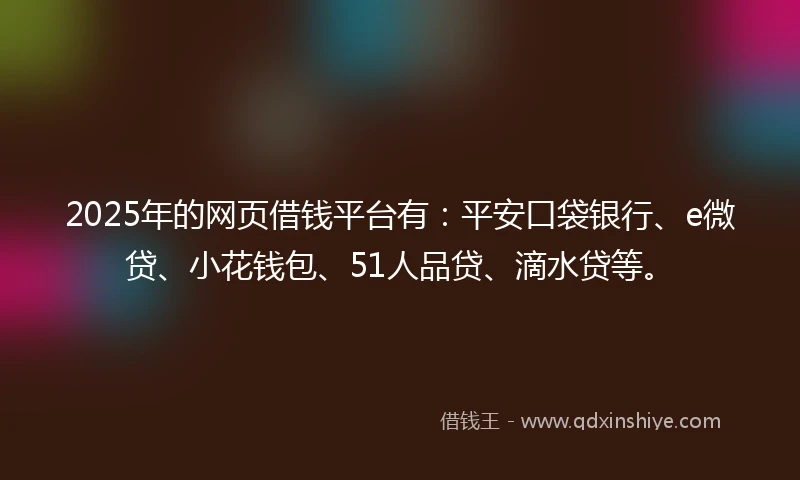 2025年的网页借钱平台有:平安口袋银行、e微贷、小花钱包、51人品贷、滴水贷等。