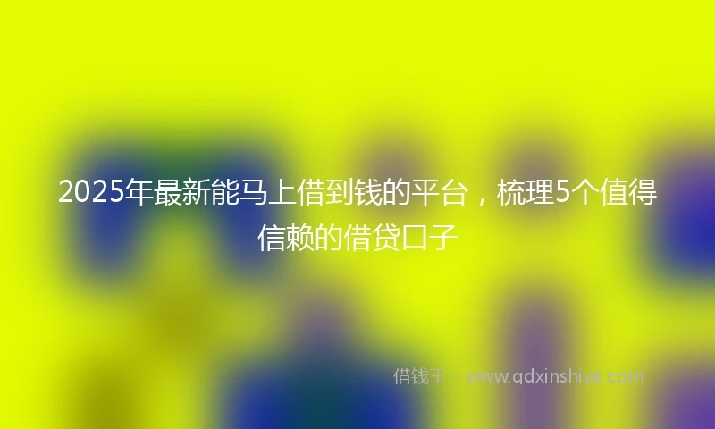 2025年最新能马上借到钱的平台，梳理5个值得信赖的借贷口子