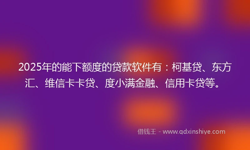 2025年的能下额度的贷款软件有：柯基贷、东方汇、维信卡卡贷、度小满金融、信用卡贷等。