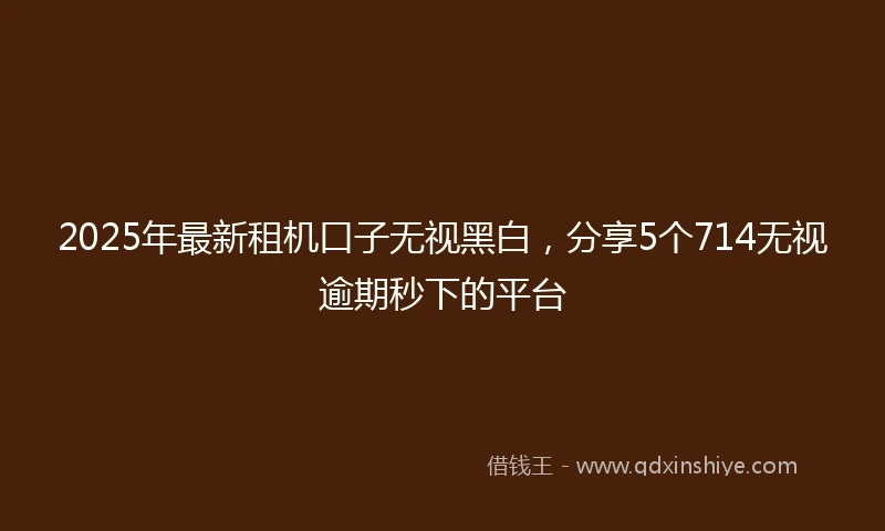 2025年最新租机口子无视黑白，分享5个714无视逾期秒下的平台