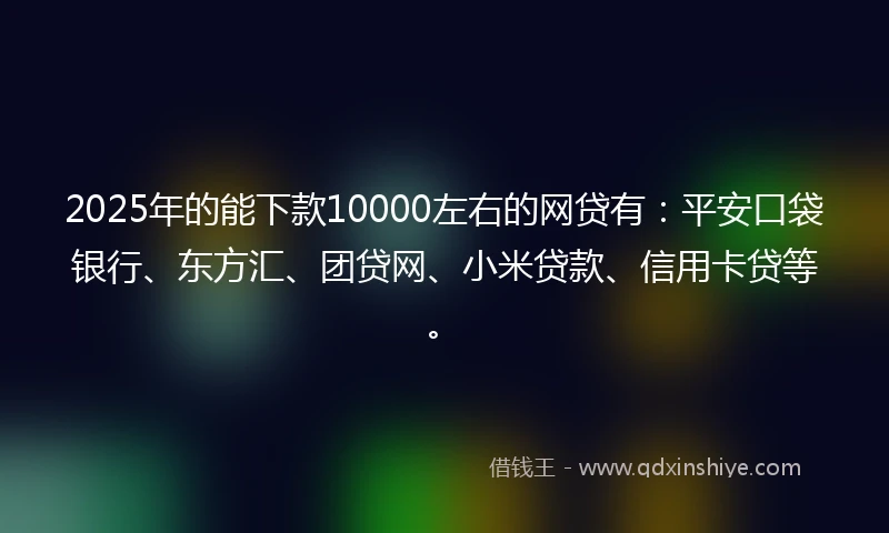 2025年的能下款10000左右的网贷有：平安口袋银行、东方汇、团贷网、小米贷款、信用卡贷等。