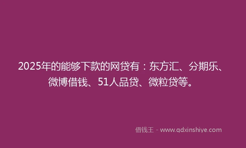 2025年的能够下款的网贷有：东方汇、分期乐、微博借钱、51人品贷、微粒贷等。