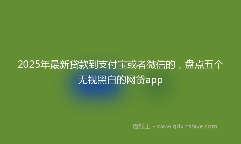 2025年最新贷款到支付宝或者微信的，盘点五个无视黑白的网贷app