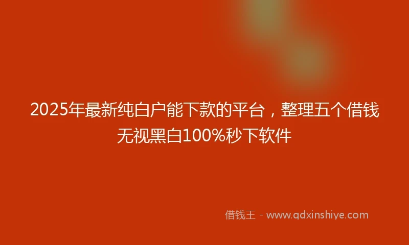 2025年最新纯白户能下款的平台,整理五个借钱无视黑白100%秒下软件