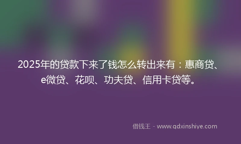 2025年的贷款下来了钱怎么转出来有:惠商贷、e微贷、花呗、功夫贷、信用卡贷等。