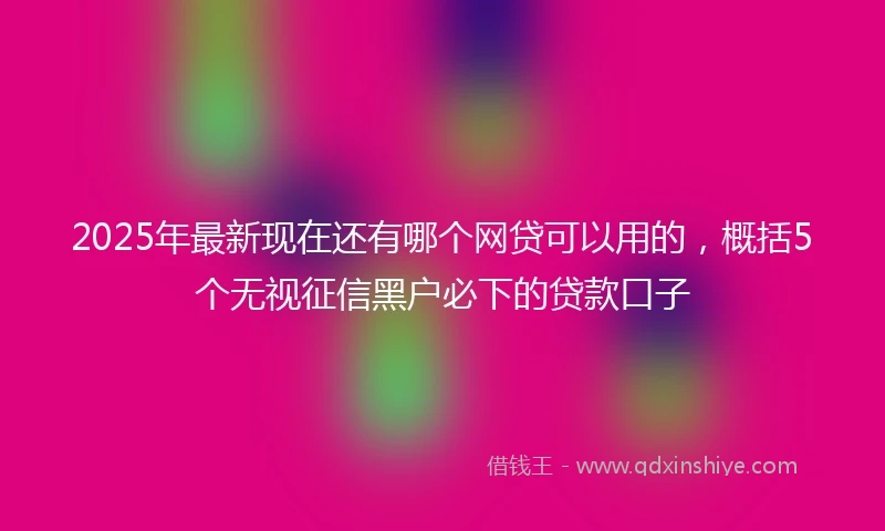 2025年最新现在还有哪个网贷可以用的，概括5个无视征信黑户必下的贷款口子