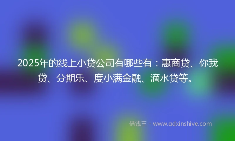 2025年的线上小贷公司有哪些有：惠商贷、你我贷、分期乐、度小满金融、滴水贷等。