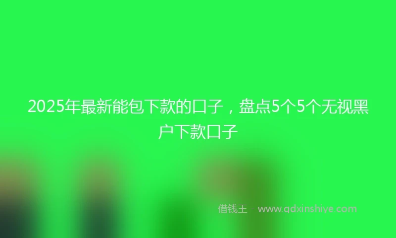 2025年最新能包下款的口子，盘点5个5个无视黑户下款口子