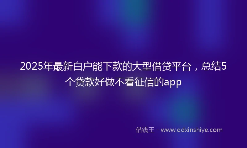 2025年最新白户能下款的大型借贷平台，总结5个贷款好做不看征信的app