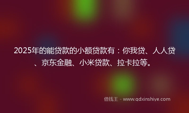 2025年的能贷款的小额贷款有:你我贷、人人贷、京东金融、小米贷款、拉卡拉等。