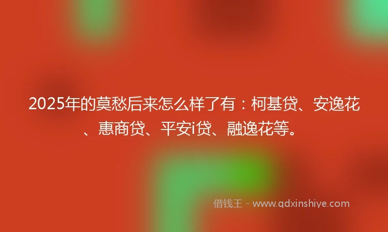 2025年的莫愁后来怎么样了有：柯基贷、安逸花、惠商贷、平安i贷、融逸花等。