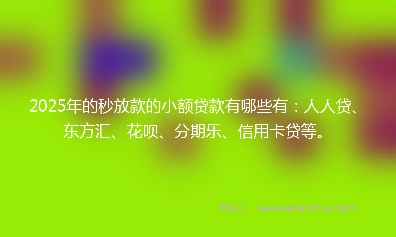 2025年的秒放款的小额贷款有哪些有：人人贷、东方汇、花呗、分期乐、信用卡贷等。