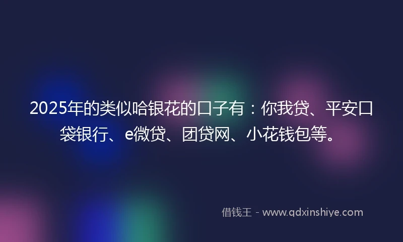 2025年的类似哈银花的口子有：你我贷、平安口袋银行、e微贷、团贷网、小花钱包等。