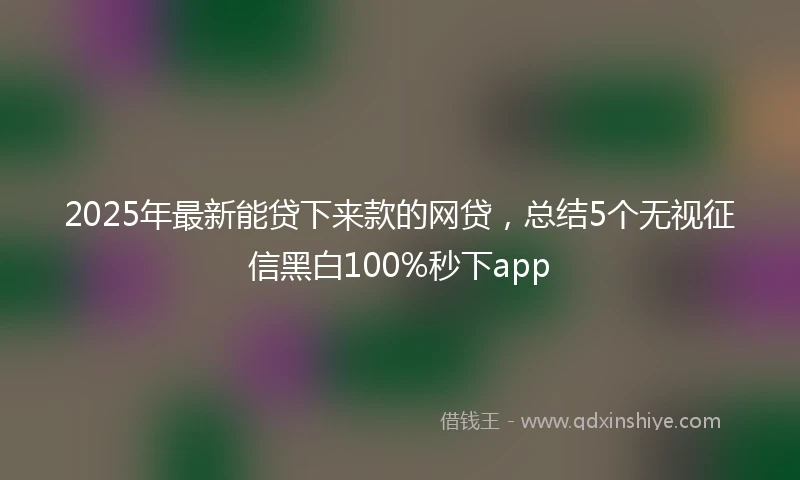 2025年最新能贷下来款的网贷，总结5个无视征信黑白100%秒下app