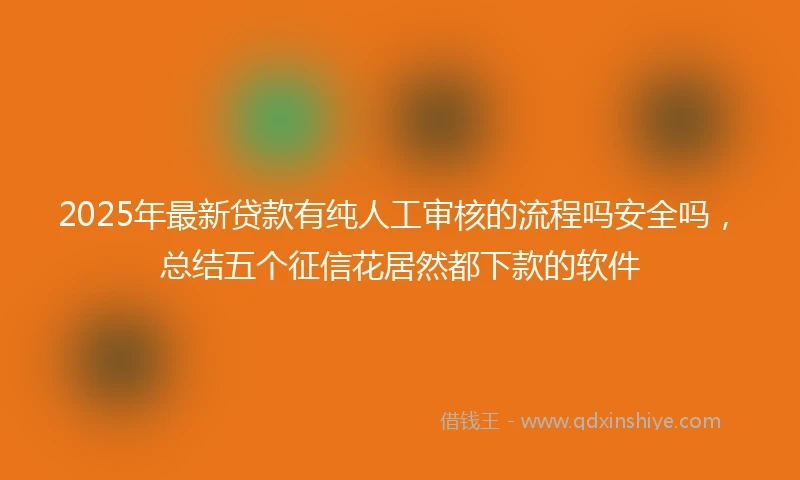2025年最新贷款有纯人工审核的流程吗安全吗，总结五个征信花居然都下款的软件