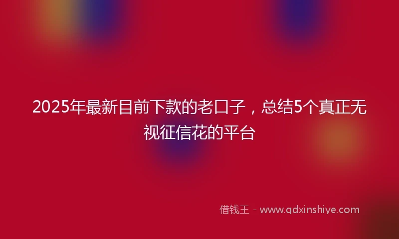 2025年最新目前下款的老口子，总结5个真正无视征信花的平台