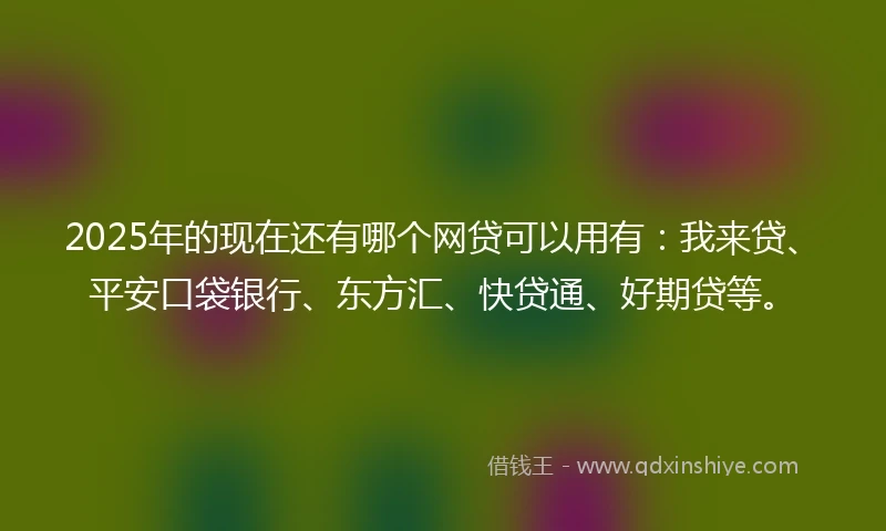 2025年的现在还有哪个网贷可以用有：我来贷、平安口袋银行、东方汇、快贷通、好期贷等。