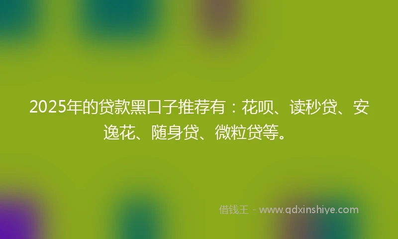 2025年的贷款黑口子推荐有：花呗、读秒贷、安逸花、随身贷、微粒贷等。