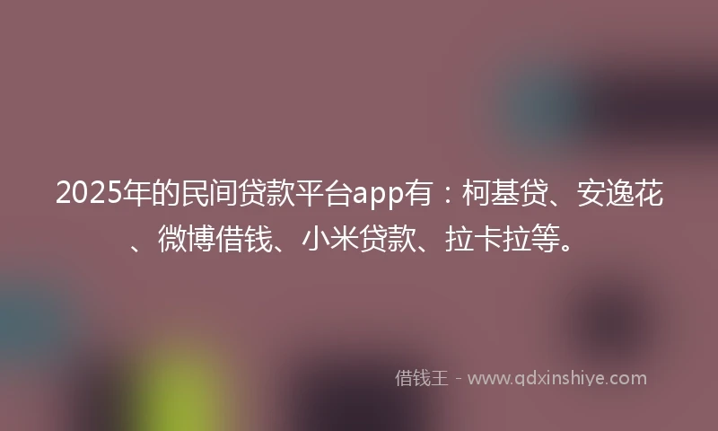 2025年的民间贷款平台app有：柯基贷、安逸花、微博借钱、小米贷款、拉卡拉等。