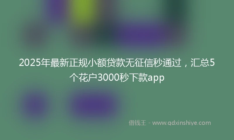 2025年最新正规小额贷款无征信秒通过，汇总5个花户3000秒下款app