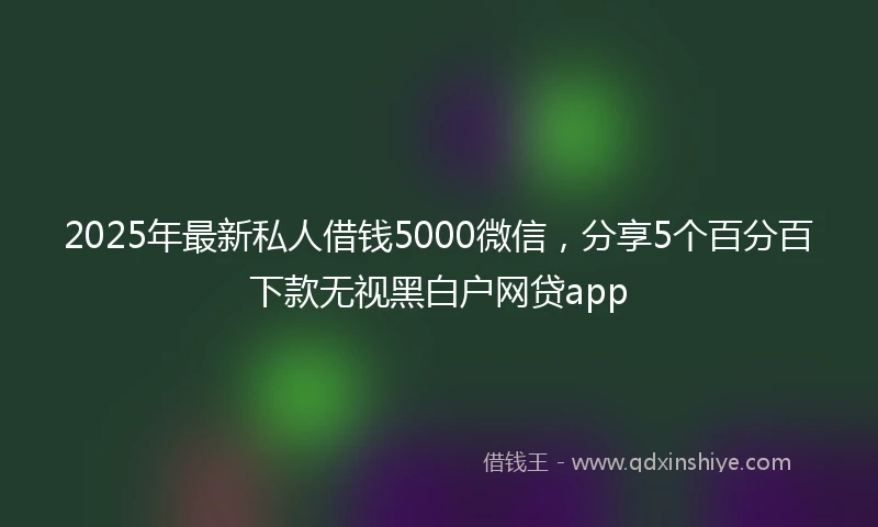 2025年最新私人借钱5000微信，分享5个百分百下款无视黑白户网贷app