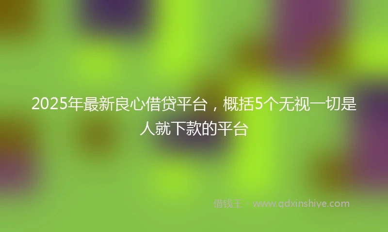2025年最新良心借贷平台，概括5个无视一切是人就下款的平台