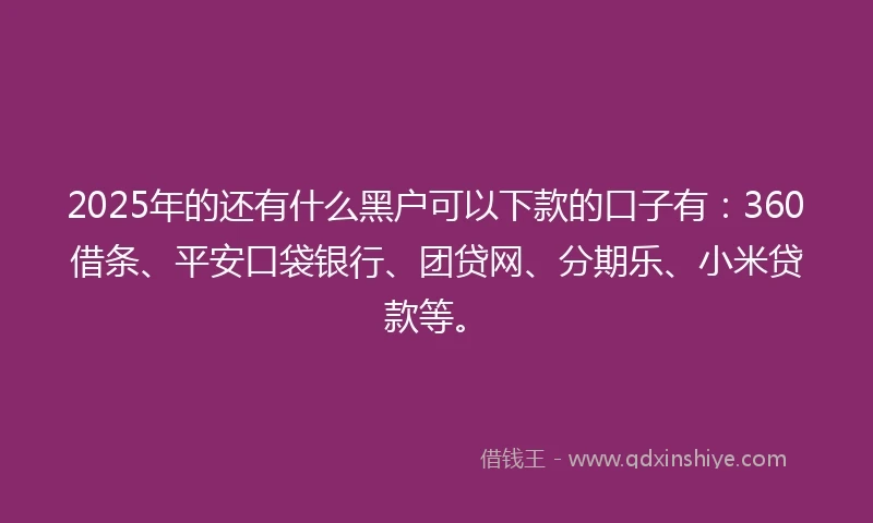 2025年的还有什么黑户可以下款的口子有:360借条、平安口袋银行、团贷网、分期乐、小米贷款等。