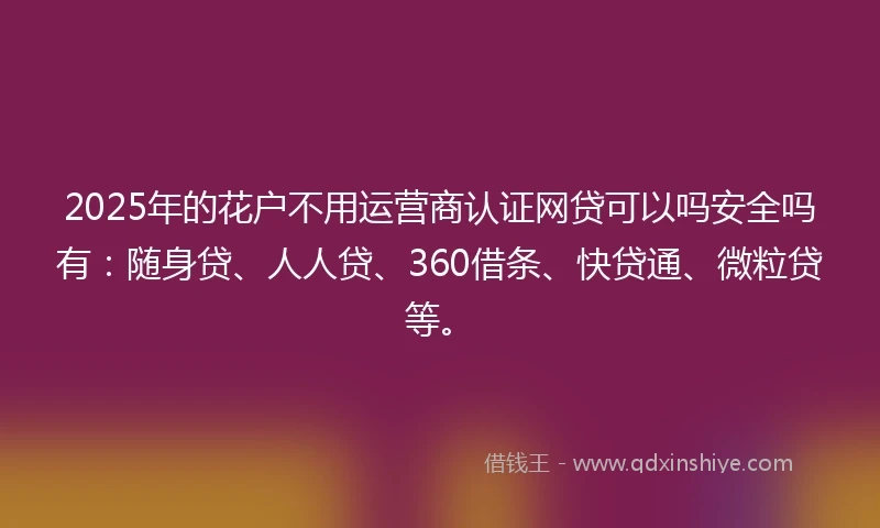 2025年的花户不用运营商认证网贷可以吗安全吗有：随身贷、人人贷、360借条、快贷通、微粒贷等。