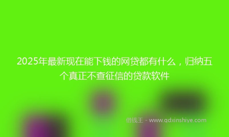2025年最新现在能下钱的网贷都有什么，归纳五个真正不查征信的贷款软件