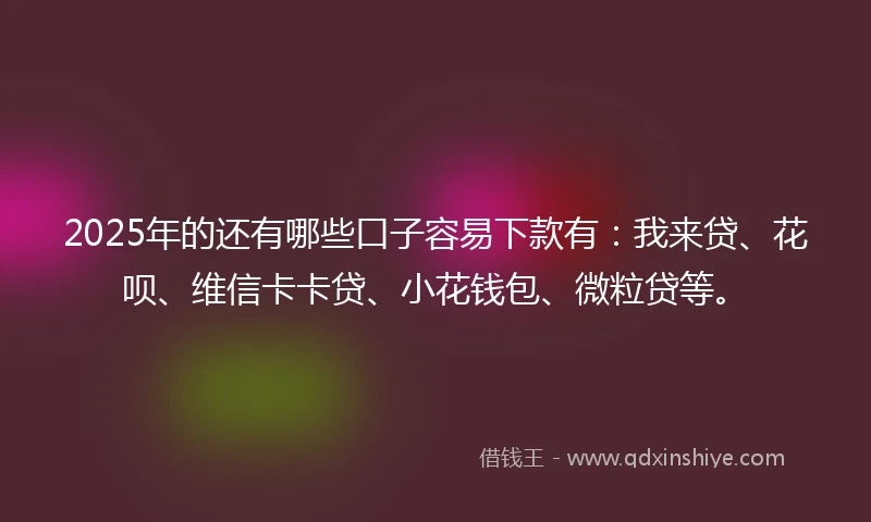 2025年的还有哪些口子容易下款有：我来贷、花呗、维信卡卡贷、小花钱包、微粒贷等。
