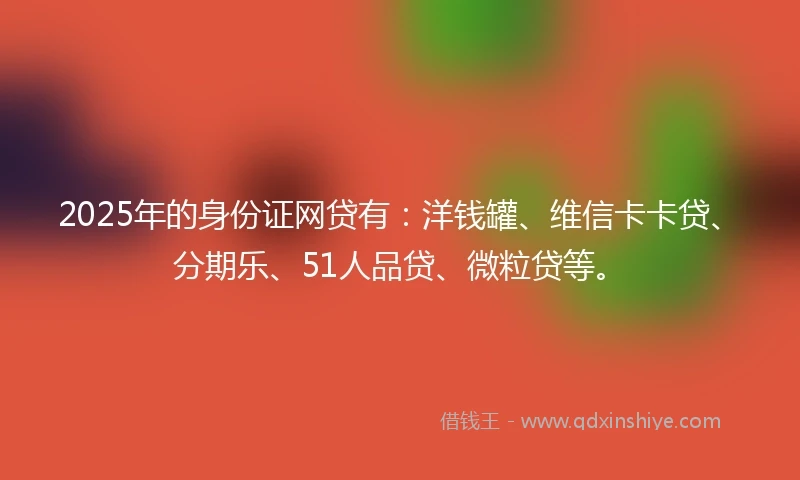 2025年的身份证网贷有：洋钱罐、维信卡卡贷、分期乐、51人品贷、微粒贷等。