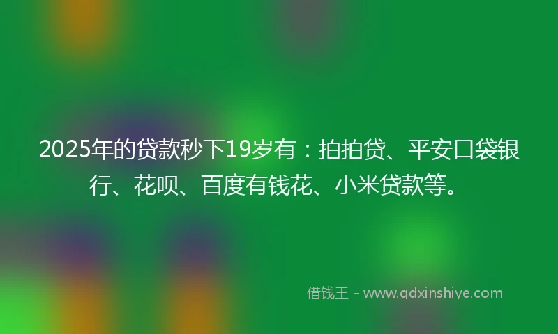 2025年的贷款秒下19岁有：拍拍贷、平安口袋银行、花呗、百度有钱花、小米贷款等。