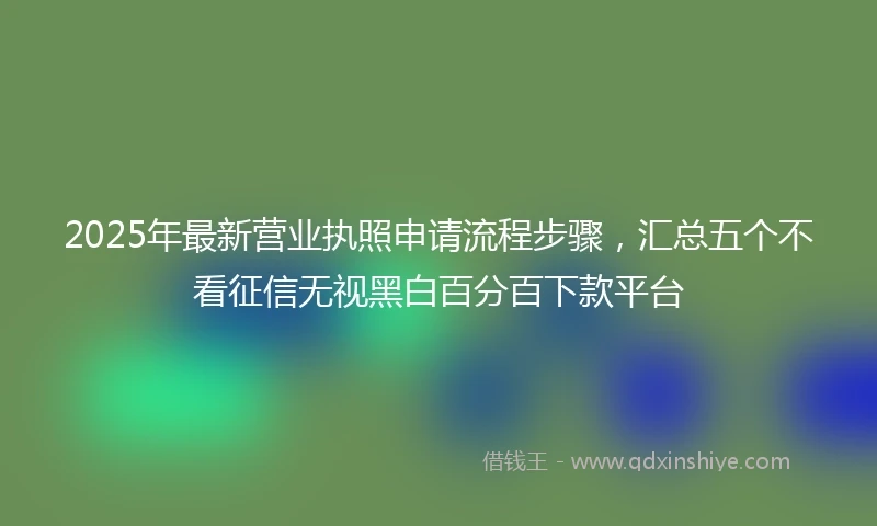 2025年最新营业执照申请流程步骤,汇总五个不看征信无视黑白百分百下款平台