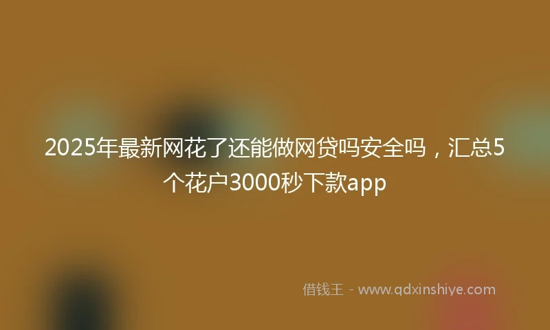 2025年最新网花了还能做网贷吗安全吗，汇总5个花户3000秒下款app