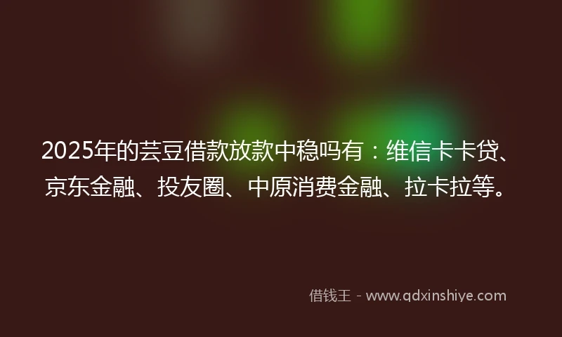 2025年的芸豆借款放款中稳吗有：维信卡卡贷、京东金融、投友圈、中原消费金融、拉卡拉等。