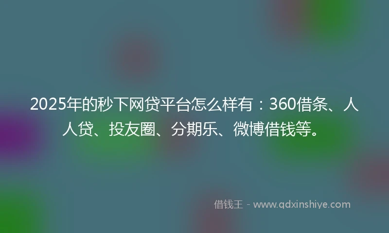 2025年的秒下网贷平台怎么样有：360借条、人人贷、投友圈、分期乐、微博借钱等。