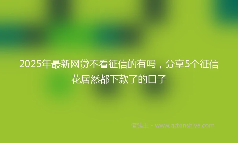 2025年最新网贷不看征信的有吗，分享5个征信花居然都下款了的口子