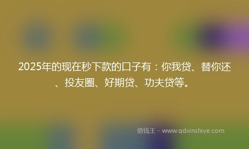 2025年的现在秒下款的口子有：你我贷、替你还、投友圈、好期贷、功夫贷等。