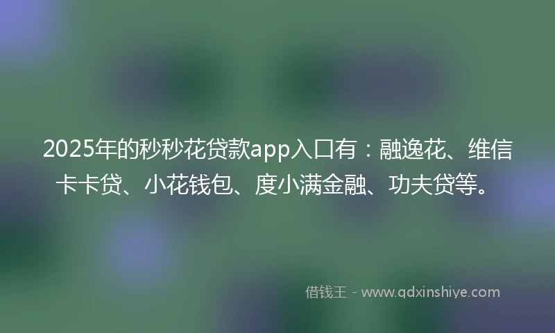 2025年的秒秒花贷款app入口有：融逸花、维信卡卡贷、小花钱包、度小满金融、功夫贷等。