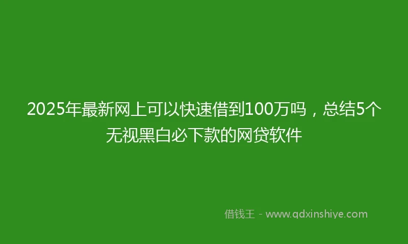 2025年最新网上可以快速借到100万吗,总结5个无视黑白必下款的网贷软件