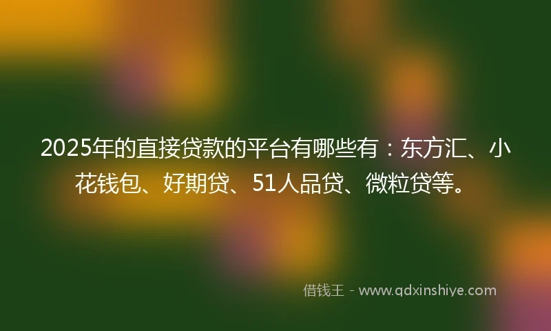 2025年的直接贷款的平台有哪些有：东方汇、小花钱包、好期贷、51人品贷、微粒贷等。
