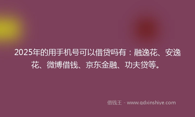 2025年的用手机号可以借贷吗有：融逸花、安逸花、微博借钱、京东金融、功夫贷等。