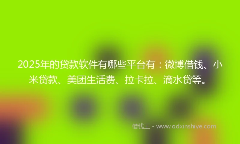 2025年的贷款软件有哪些平台有：微博借钱、小米贷款、美团生活费、拉卡拉、滴水贷等。