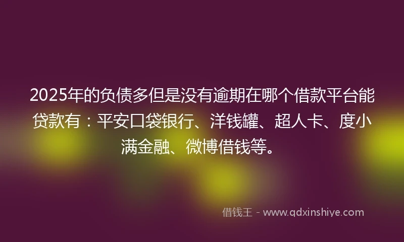 2025年的负债多但是没有逾期在哪个借款平台能贷款有：平安口袋银行、洋钱罐、超人卡、度小满金融、微博借钱等。