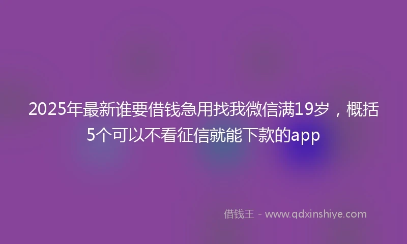 2025年最新谁要借钱急用找我微信满19岁,概括5个可以不看征信就能下款的app