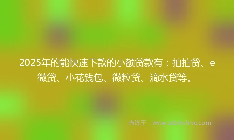 2025年的能快速下款的小额贷款有：拍拍贷、e微贷、小花钱包、微粒贷、滴水贷等。