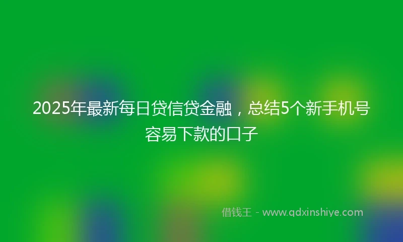 2025年最新每日贷信贷金融，总结5个新手机号容易下款的口子