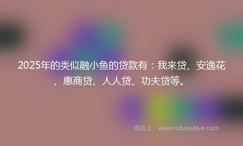 2025年的类似融小鱼的贷款有：我来贷、安逸花、惠商贷、人人贷、功夫贷等。