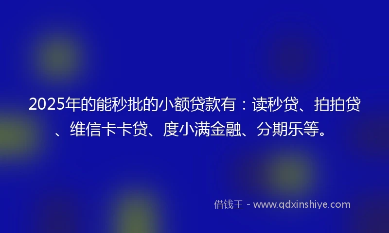 2025年的能秒批的小额贷款有：读秒贷、拍拍贷、维信卡卡贷、度小满金融、分期乐等。
